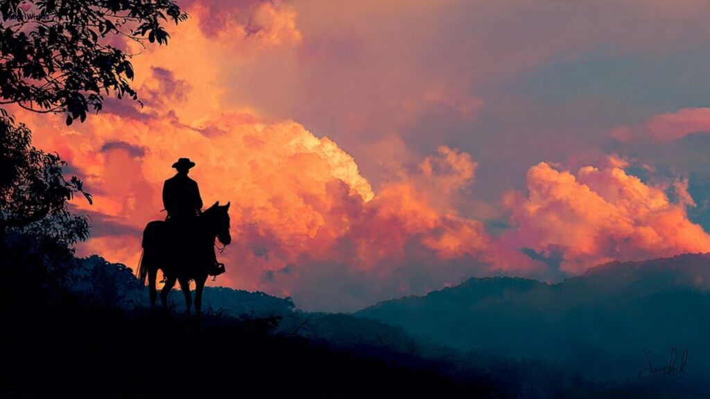 Appreciation Good Morning Messages for Sir