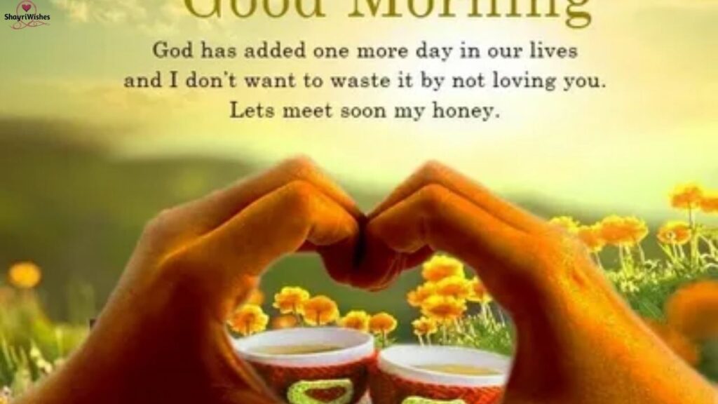 Professional Good Morning Message for Sir